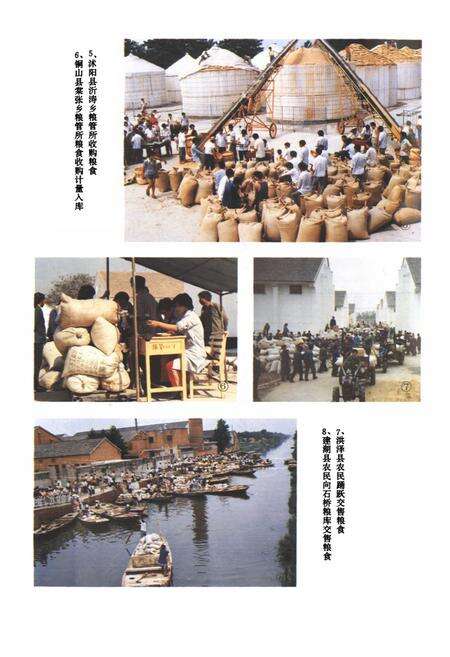 《江苏省粮食志》.pdf_江苏省志预览图3