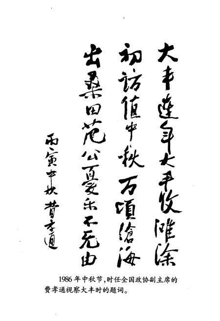 《大丰市农业志》.pdf_江苏省志预览图3