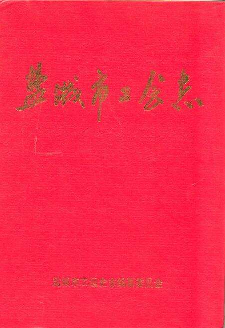 《盐城市工会志》.pdf_江苏省志缩略图