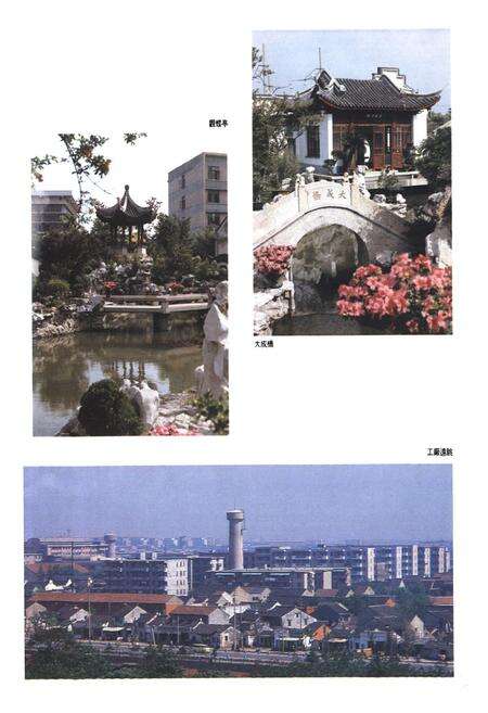 《常州东风印染厂厂志》.pdf_江苏省志预览图4