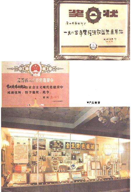 《常州绝缘材料厂志(1958-1985)》.pdf_江苏省志预览图5