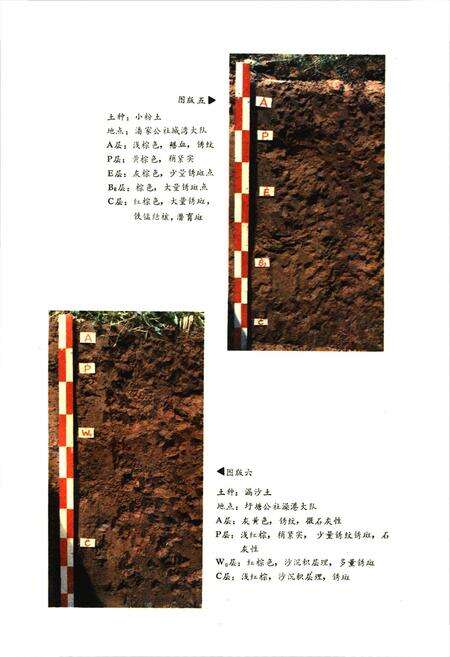 《江苏省武进县土壤志》.pdf_江苏省志预览图5
