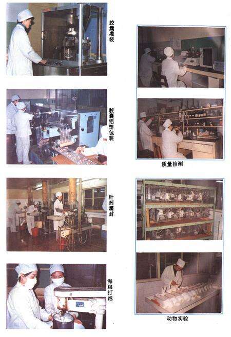 《南京第三制药厂志》.pdf_江苏省志预览图3