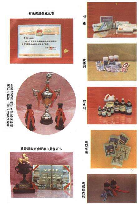 《南京第三制药厂志》.pdf_江苏省志预览图4