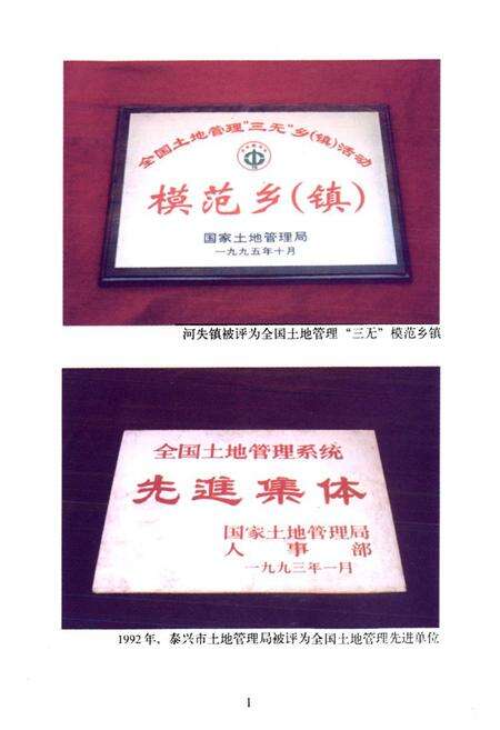 《《泰兴市土地志》》.pdf_江苏省志预览图3