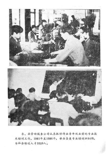 《《如东县劳动志》》.pdf_江苏省志预览图4