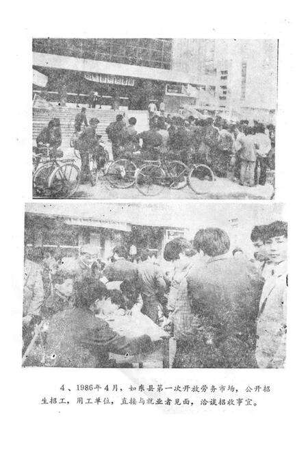 《《如东县劳动志》》.pdf_江苏省志预览图5