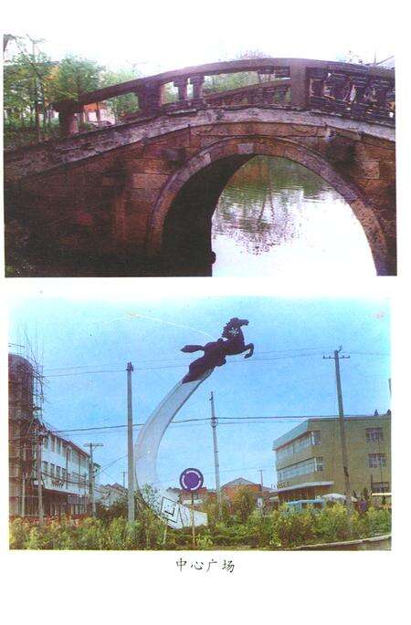 《陆区乡志》.pdf_江苏省志预览图2