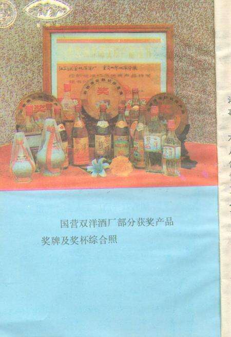 《双洋酒厂厂志》.pdf_江苏省志预览图3