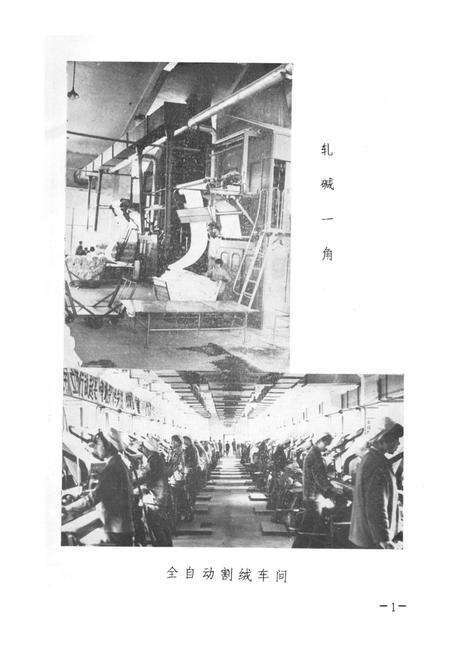 《常州市割绒厂志(1958-1991.3)》.pdf_江苏省志预览图5