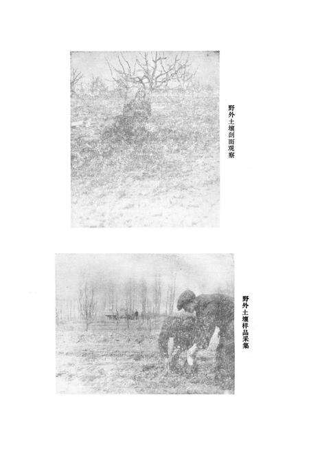 《江苏省灌南县土壤志》.pdf_江苏省志预览图5