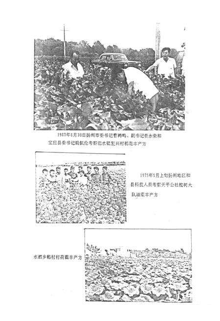《宝应县农业志》.pdf_江苏省志预览图5