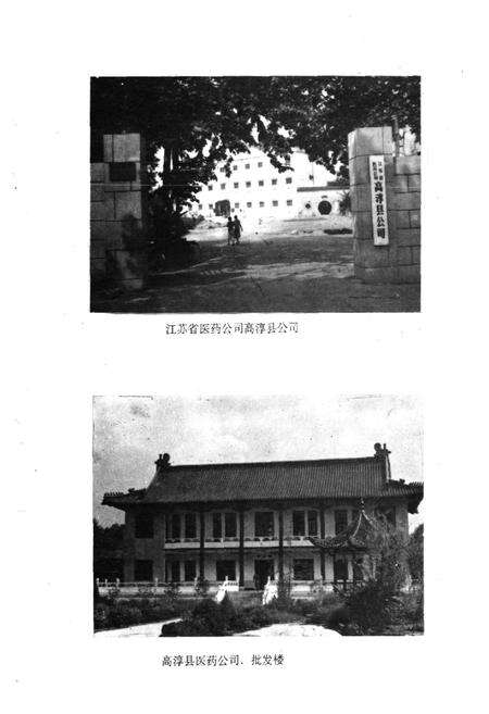 《《高淳县医药商业志》》.pdf_江苏省志预览图5