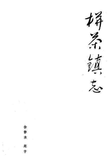 《栟茶镇志》.pdf_江苏省志预览图1