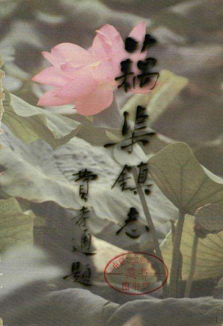 《藕渠镇志》.pdf_江苏省志预览图1