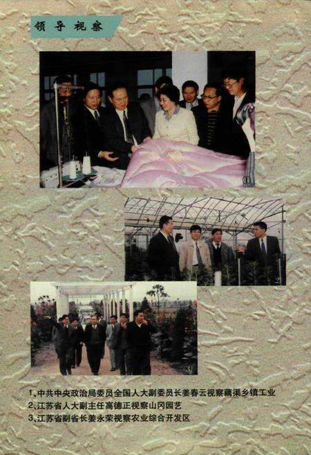 《藕渠镇志》.pdf_江苏省志预览图5