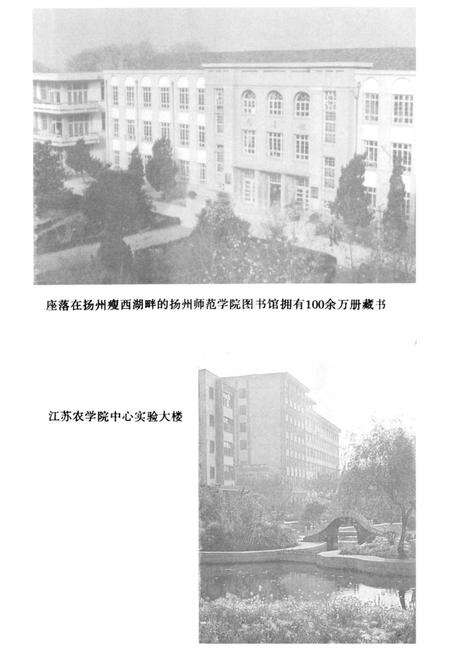《扬州高等教育志》.pdf_江苏省志预览图2