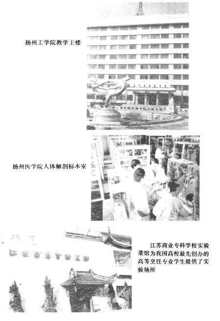 《扬州高等教育志》.pdf_江苏省志预览图3