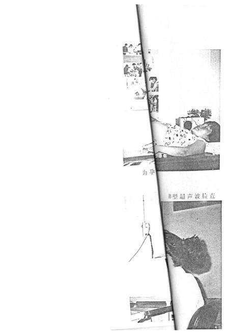 《《连云港市妇幼保健所所志(1956-1988)》》.pdf_江苏省志预览图5