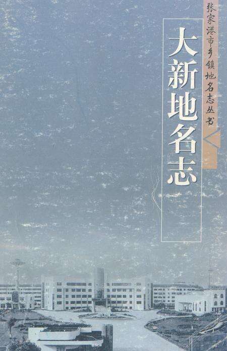 《大新地名志》.pdf_江苏省志缩略图