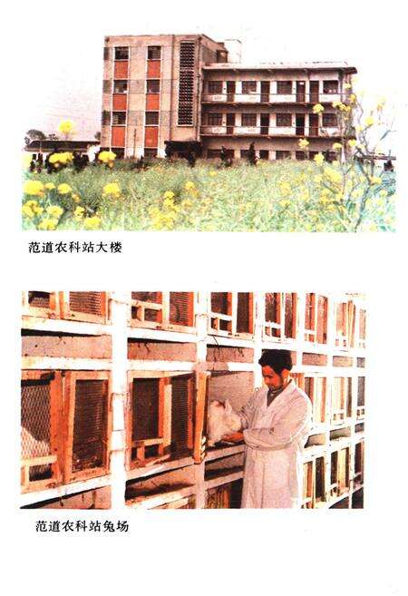 《范道乡志》.pdf_江苏省志预览图5