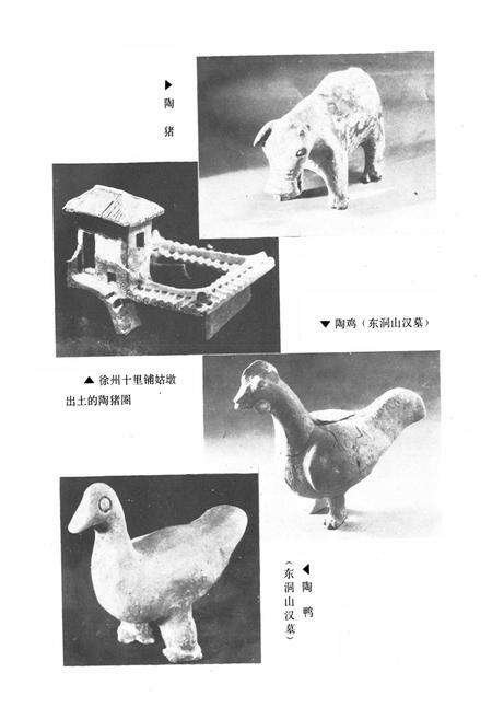 《《徐州市畜牧志》》.pdf_江苏省志预览图3