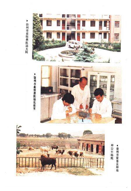 《《徐州市畜牧志》》.pdf_江苏省志预览图5