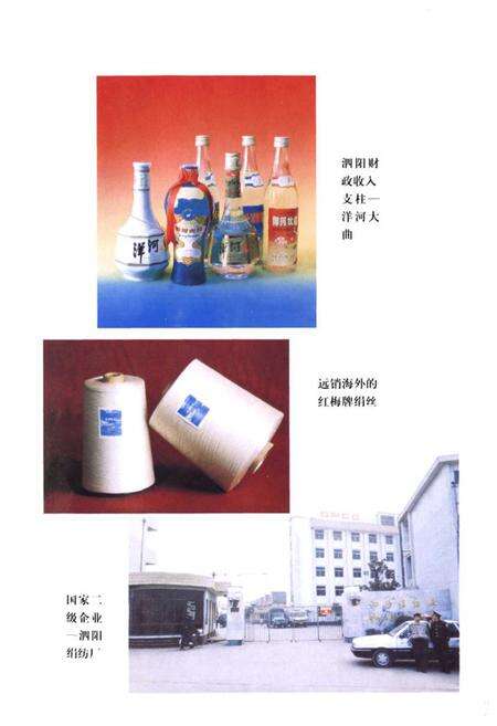 《泗阳县财政志(1644-1988)》.pdf_江苏省志预览图3