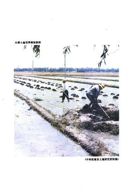 《江苏省苏州市土壤志》.pdf_江苏省志预览图4