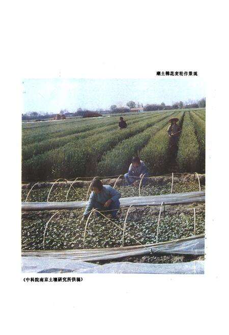 《江苏省苏州市土壤志》.pdf_江苏省志预览图5