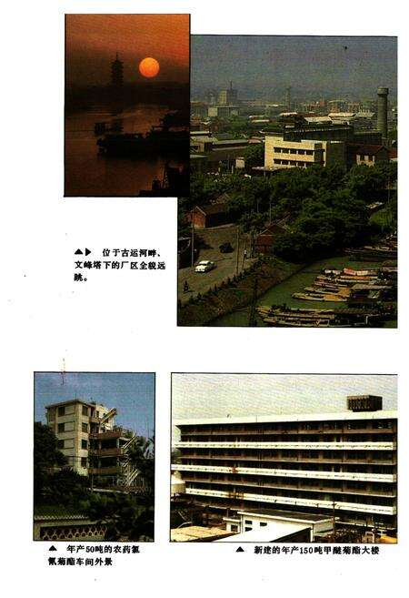 《《扬州农药厂志(1958-1987)》》.pdf_江苏省志预览图5