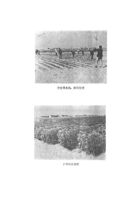 《《江苏省海门县土壤志》》.pdf_江苏省志预览图5