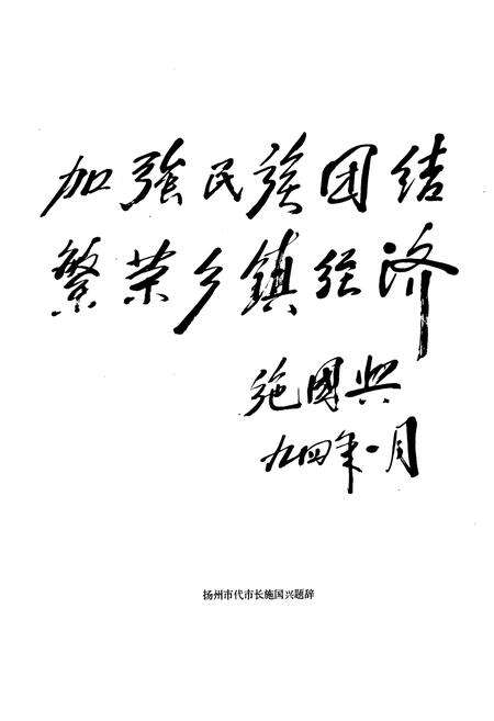 《《菱塘回族乡志》》.pdf_江苏省志预览图3