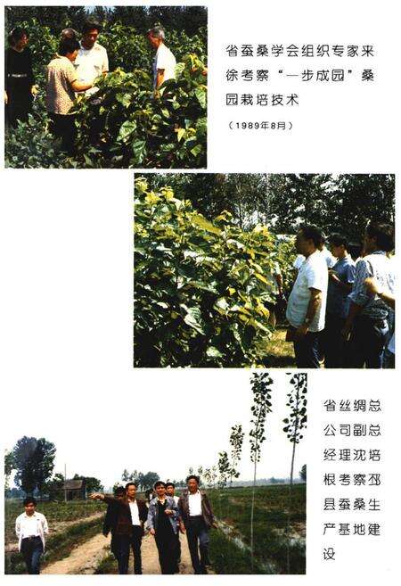 《徐州蚕桑志》.pdf_江苏省志预览图2