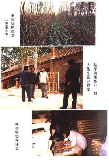 《徐州蚕桑志》.pdf_江苏省志预览图5