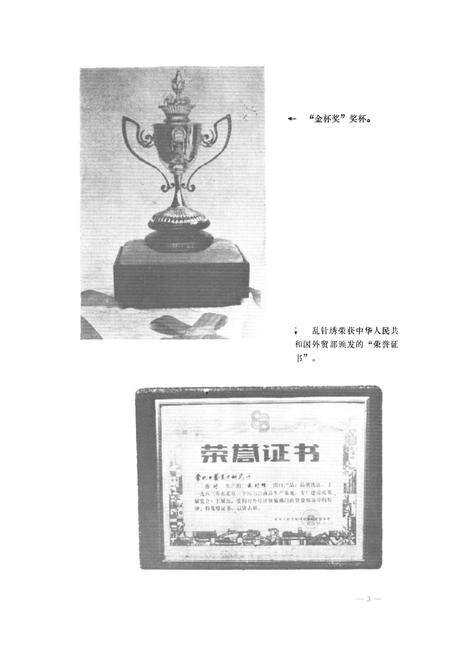 《常州市工艺美术研究所志》.pdf_江苏省志预览图4