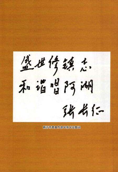 《阿湖镇志》.pdf_江苏省志预览图4