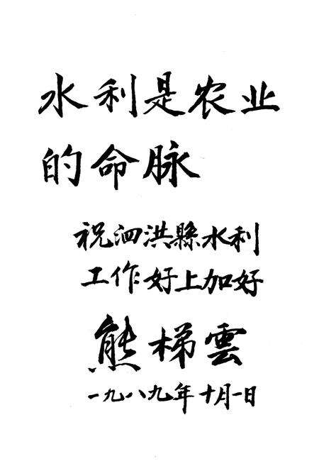 《泗洪县水利志》.pdf_江苏省志预览图3