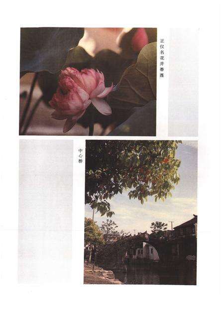 《《正仪镇志》》.pdf_江苏省志预览图5