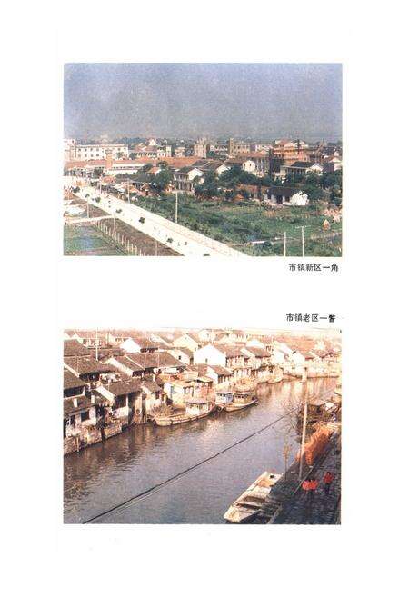 《《巴城镇志》》.pdf_江苏省志预览图4