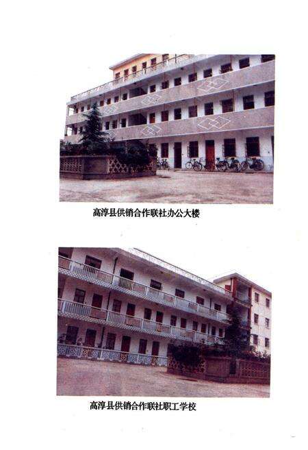 《高淳县供销合作社志(1950-1985)》.pdf_江苏省志预览图2