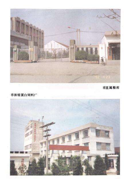 《《盐城市粮食志》》.pdf_江苏省志预览图3
