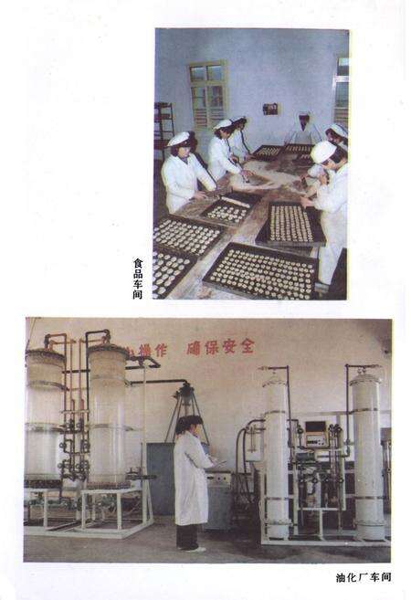 《《盐城市粮食志》》.pdf_江苏省志预览图5