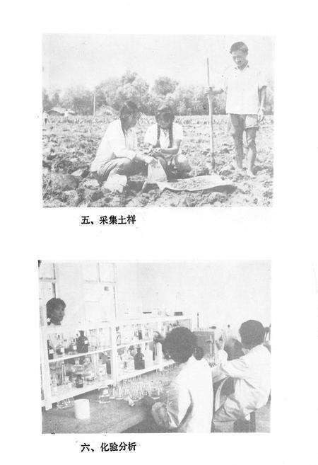 《江苏省江都县土壤志》.pdf_江苏省志预览图4