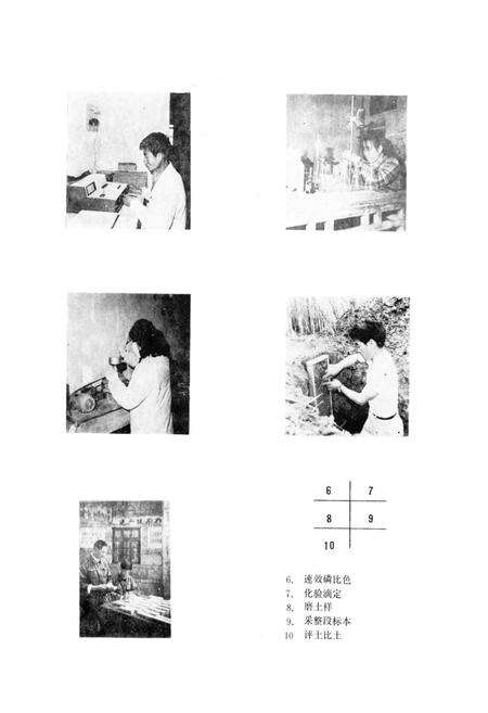 《江苏省灌云县土壤志》.pdf_江苏省志预览图4