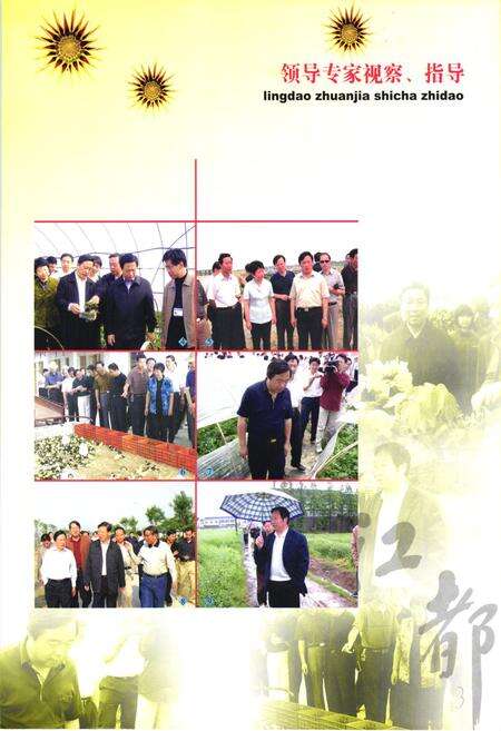 《江都市农林志》.pdf_江苏省志预览图4