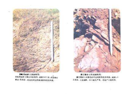 《东海县土壤志》.pdf_江苏省志预览图5