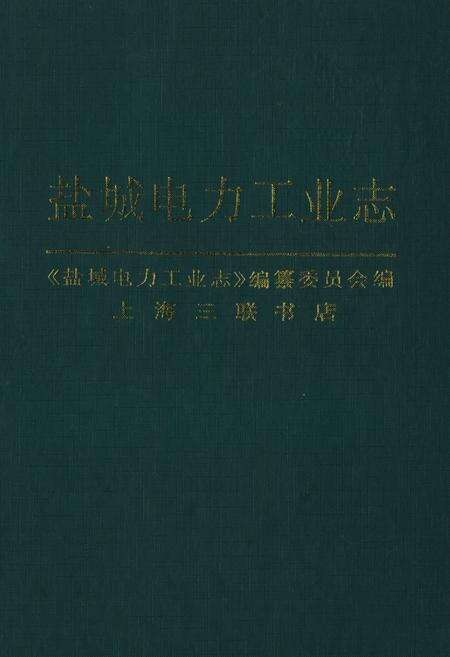 《盐城电力工业志》.pdf_江苏省志缩略图
