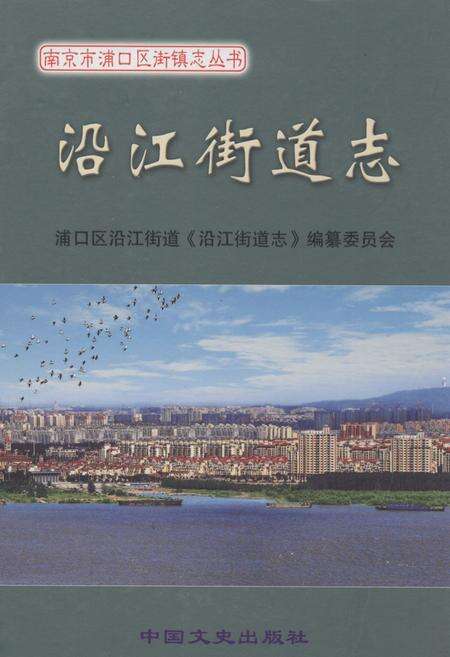《《沿江街道志》》.pdf_江苏省志缩略图