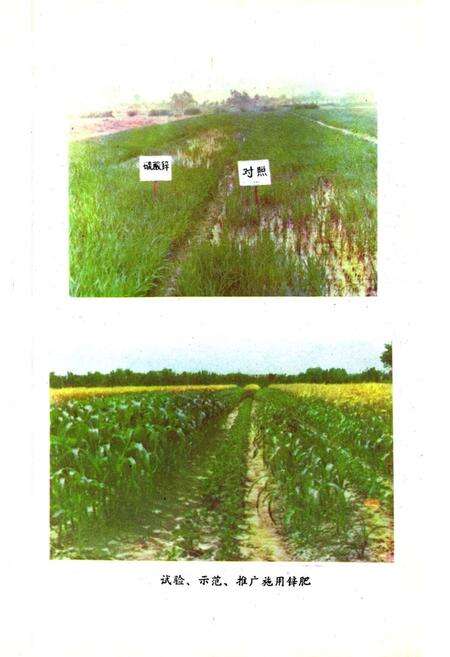《江苏省海安县土壤志》.pdf_江苏省志预览图3